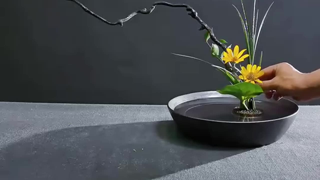 Ikebana 041: Oriental Style Natural Flower Arrangement Artistic Creativity