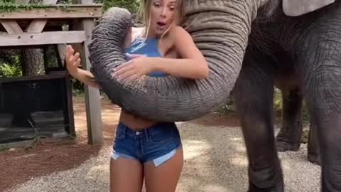 Elephant be wildin 🐘😱