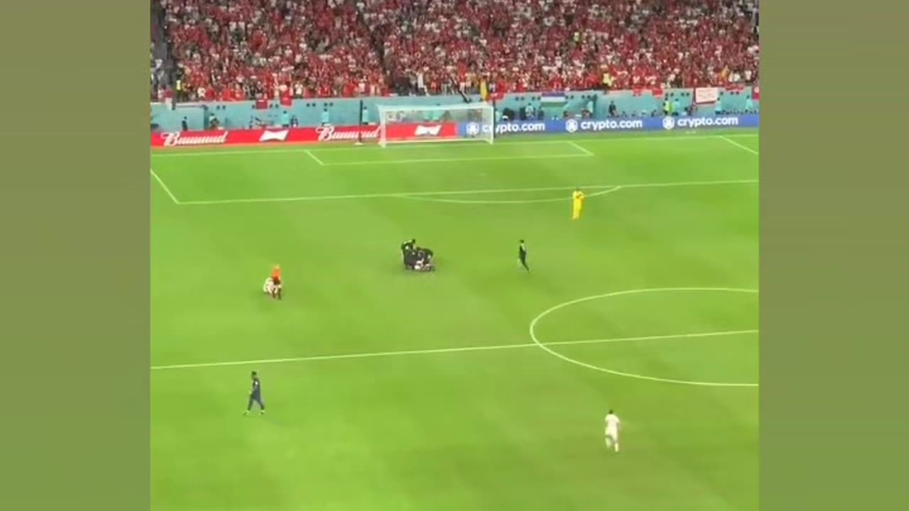 Fan runs across field with flag Crowd chants "Filastin!"