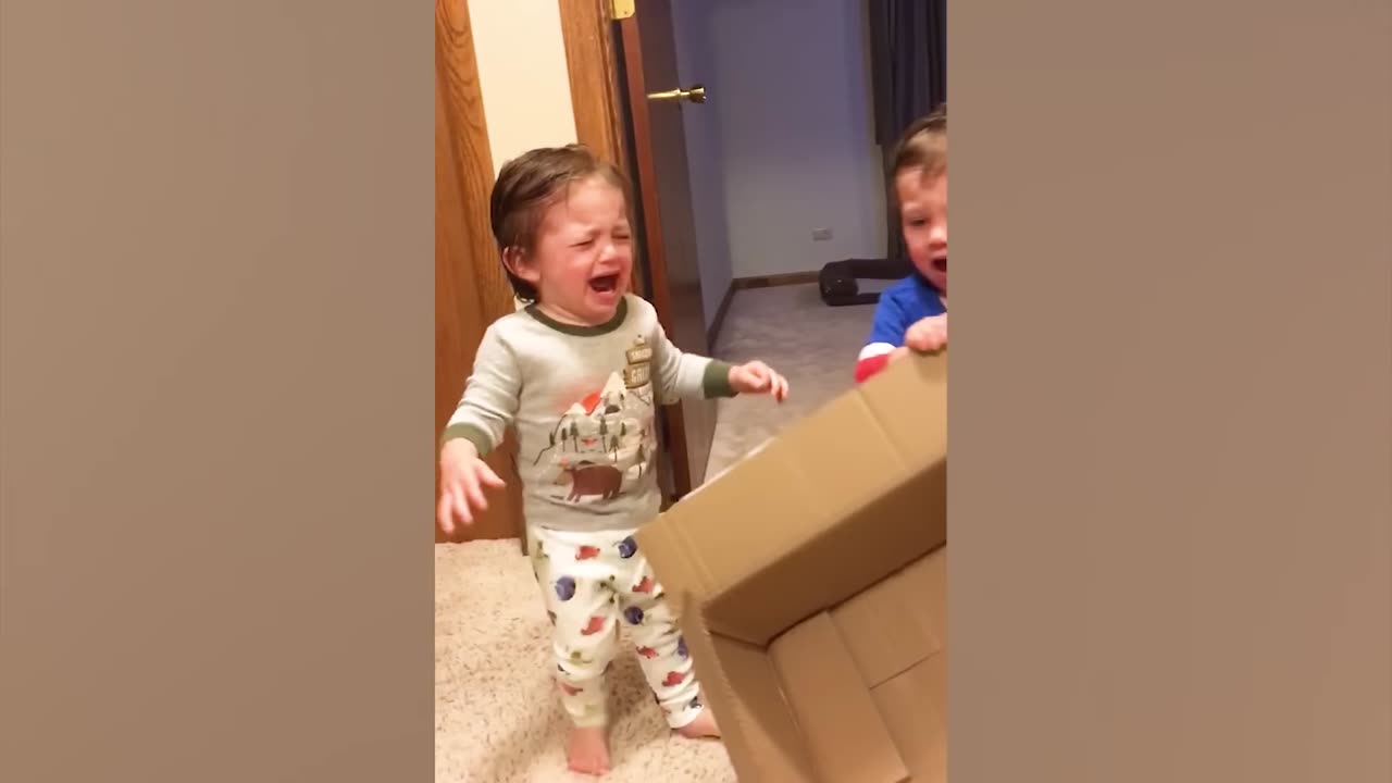 FUNNY TWINS BABIES FIGHTING.