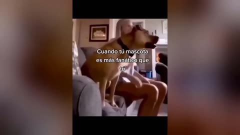 Funniest dog video 2024