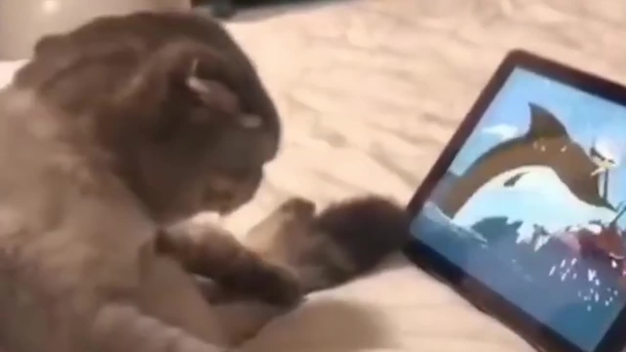 Furry Fails: Hilarious Moments of Cats Being Cats