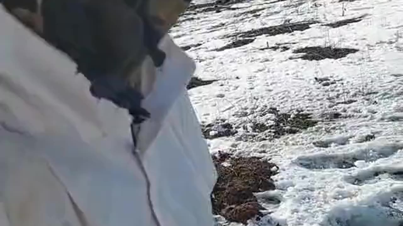 Russians Leave Some Here and Some There