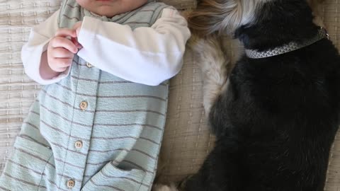 baby and dog in bed