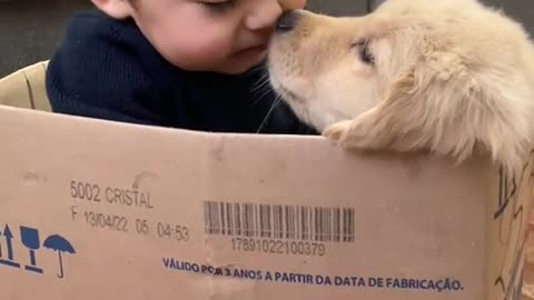 Sem duvidas é o amor mais verdadeiro e puro que existe 😍♥️