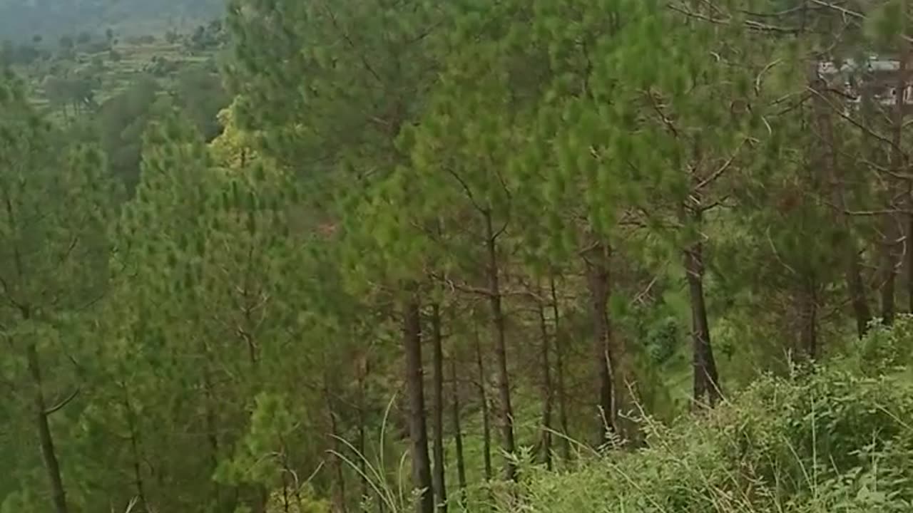 Mini Switzerland himachal Pradesh india