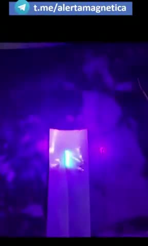 Nasal Swab Black Light Test