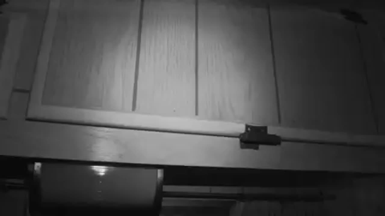 SASQUATCH ATTACKS A TRAILER