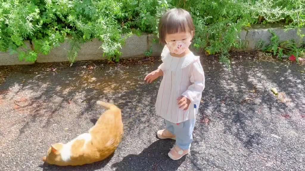 The baby touched the cat