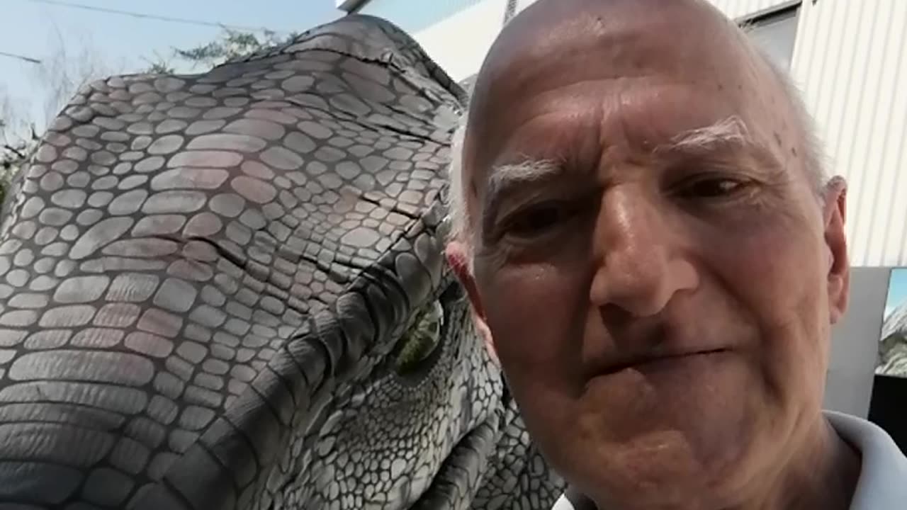 Barátkozás egy Dinóval.