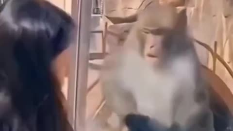 Funy