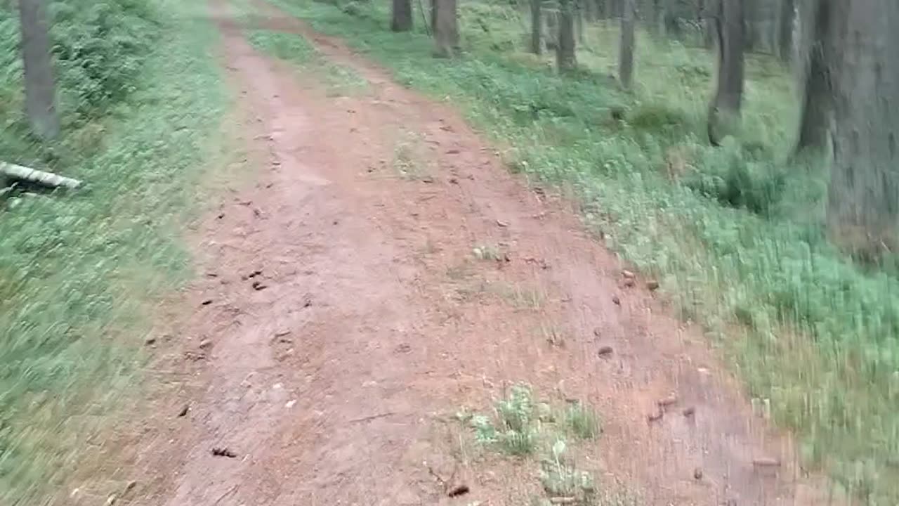 Heramäen lenkillä ja muuta juttua