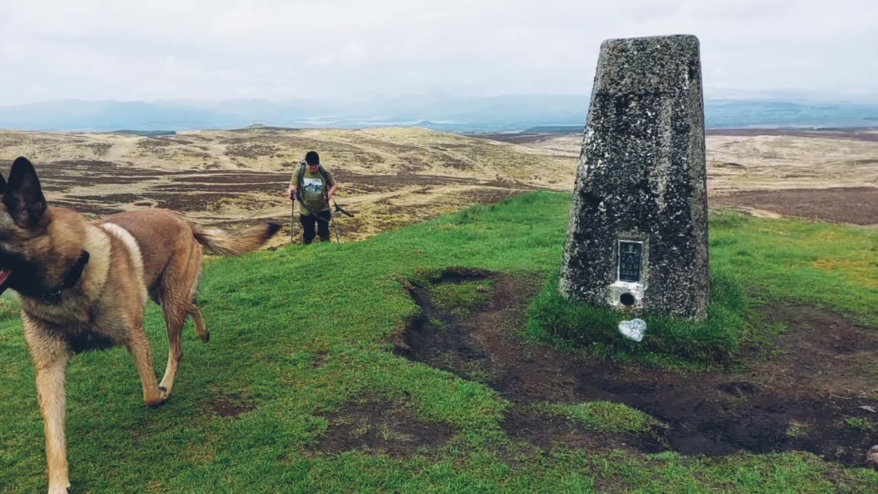 Belgian Malinois Climbs Volcanic Plug in Scotland