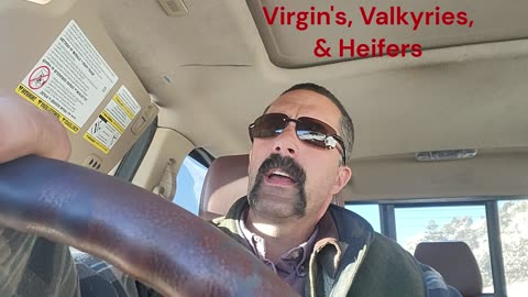 Virgin's, Valkyries and Heifers