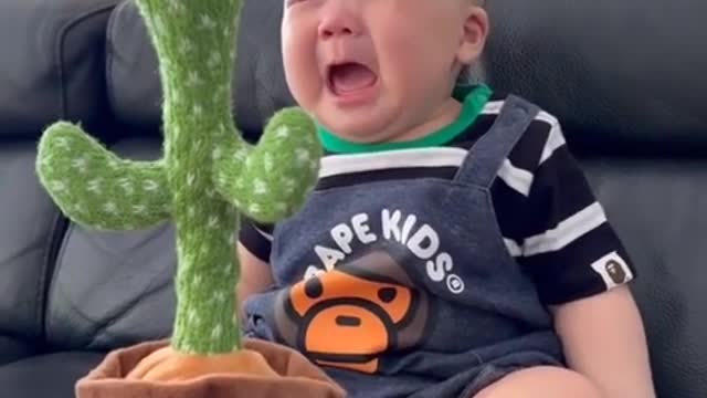 Talking Cactus react by baby very funny baby video