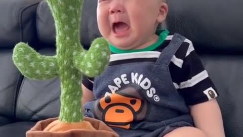 Talking Cactus react by baby very funny baby video