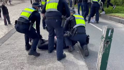 Tyrannical Aussie Cops Arresting A Couple For Walking On The Beach 🟠⚪🟣The NPC Show