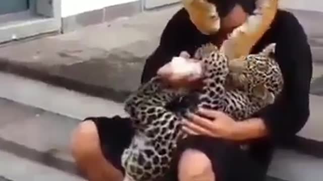 حيونات لطيفة