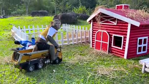 Smart Bim Bim helps ducks find colorful eggs | Fun and cute moments with Bim Bim and ducklings