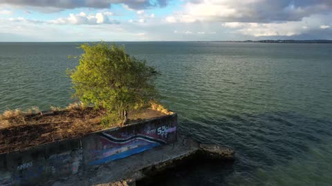 Farallon Rock
