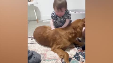 Best video of Cute Babies and Pets - Funny Baby and Pet