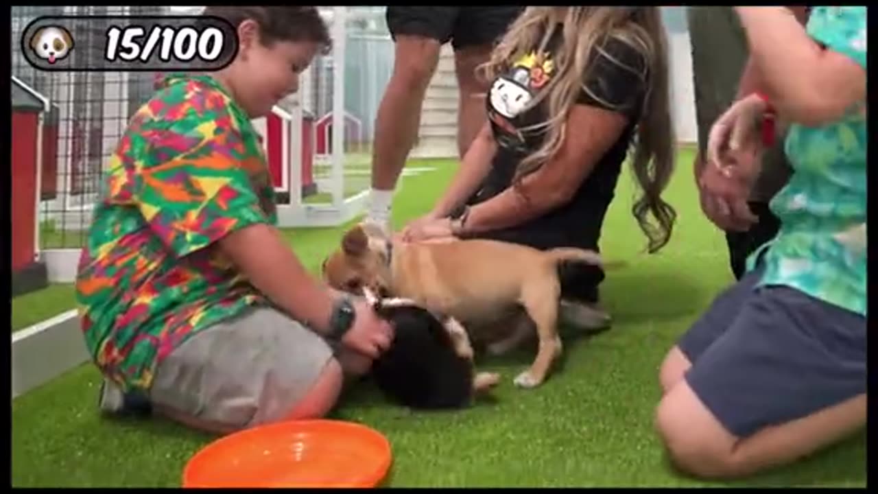 Part 1 I Rescued 100 Abandoned Dogs !