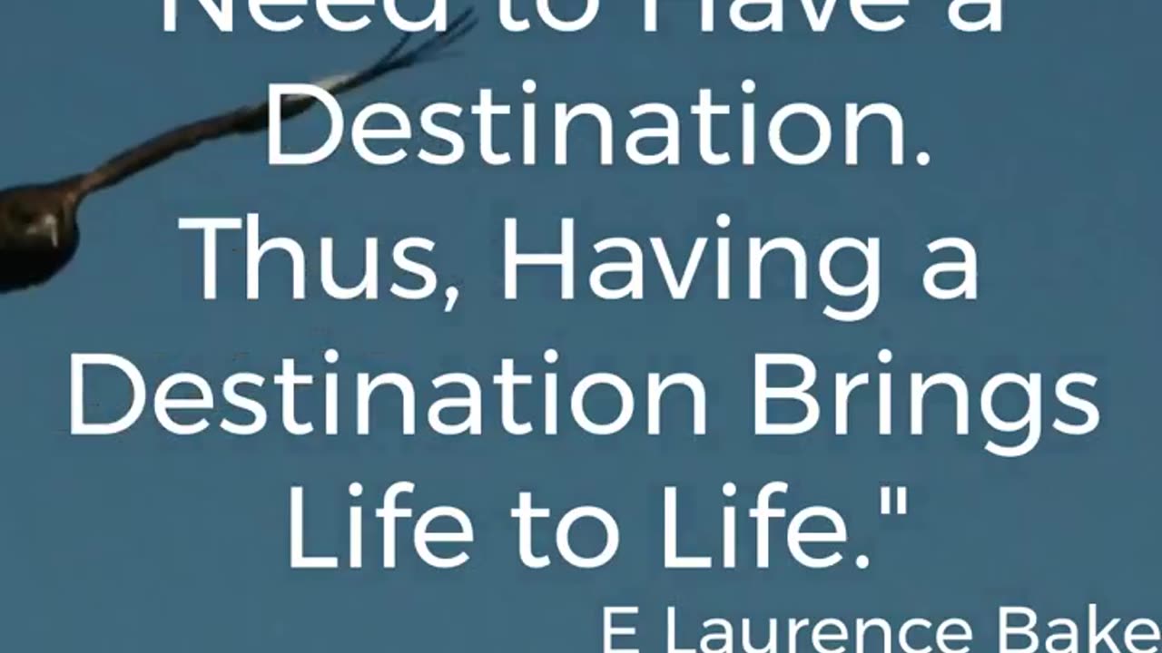 LIFE DESTINATION