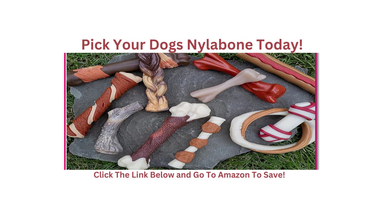 Nylabone Power Chew Rawhide Roll Alternative Chew| Sold on Amazon