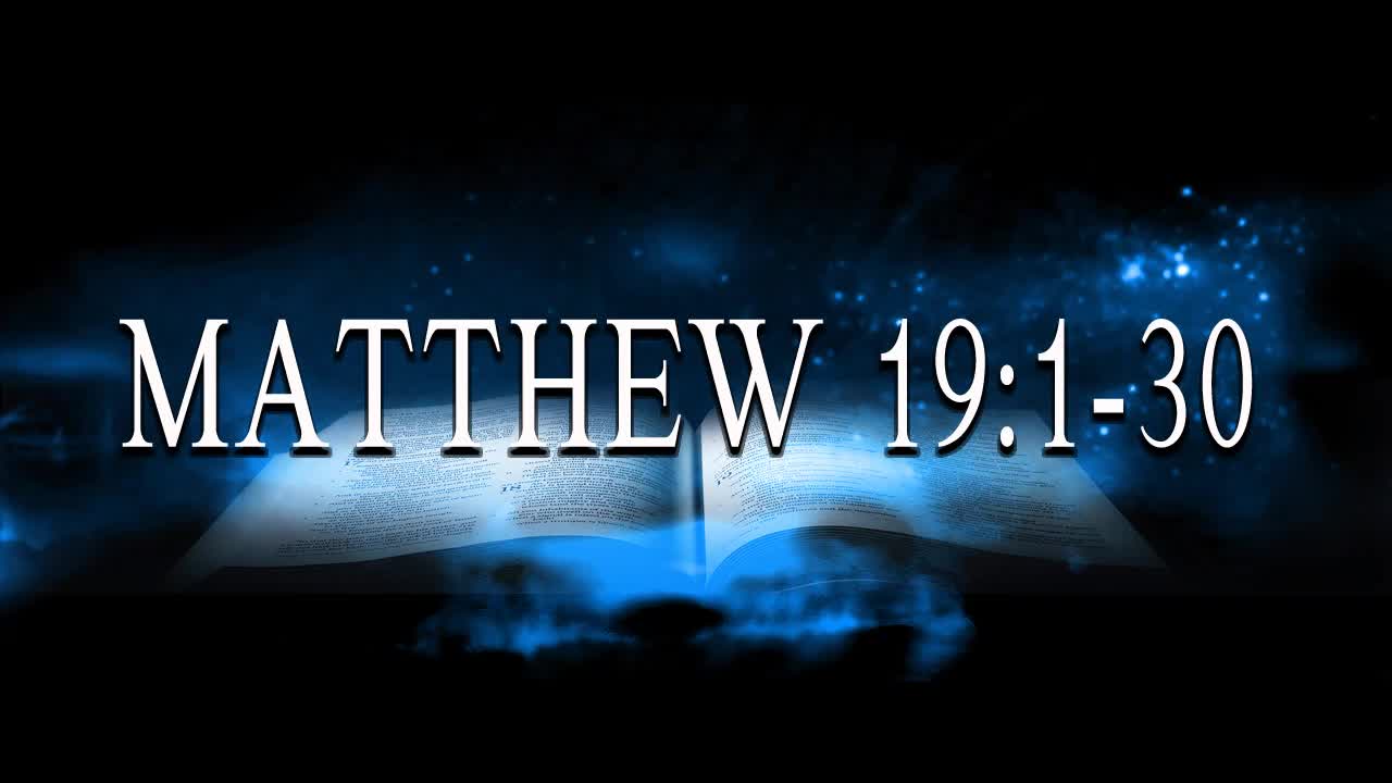 Matthew 19:1-30
