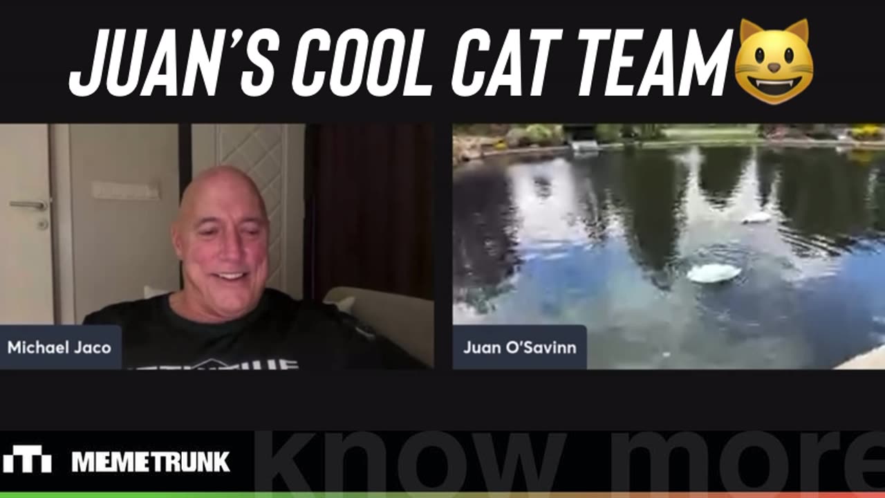 Juan’s Cool Cat Team