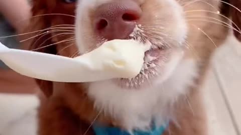 Throwback to our first summer