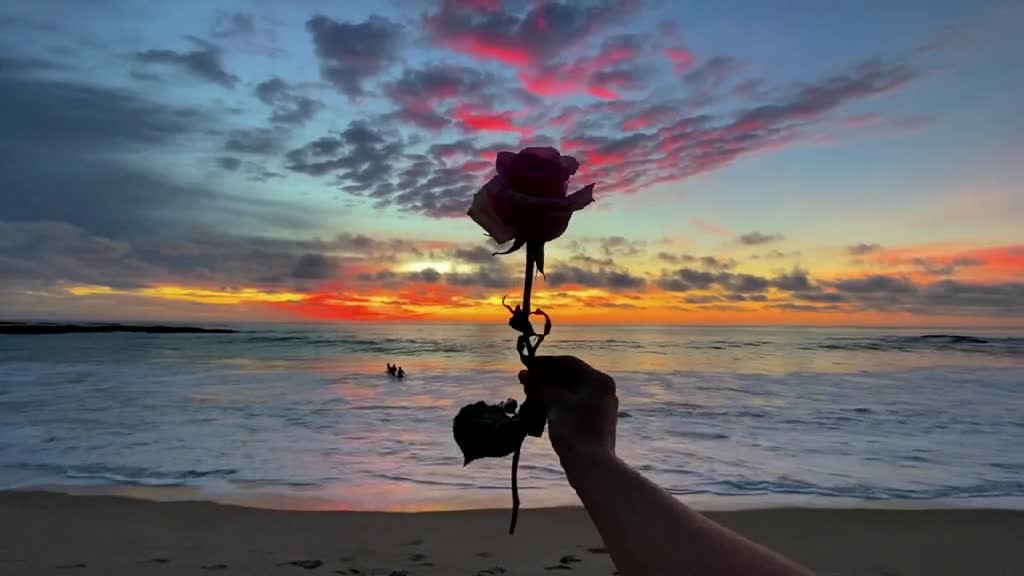 Sunset Collector