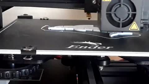 3D printing a dolphin