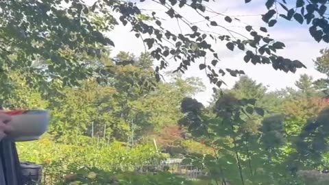 20220927文贵先生GETTR¹： #新中国联邦：我们有真正的信仰和宗教，高科技有未来，高质量高稳定，金钱无法衡量的文化的价值，是真正的阳光财富！