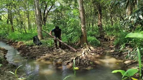 Survivor In Forest Indonesia