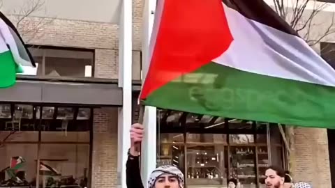 FREE PALESTINE 🇵🇸🇵🇰#viral #shorts #ytshorts #trending #freepalestine #trending