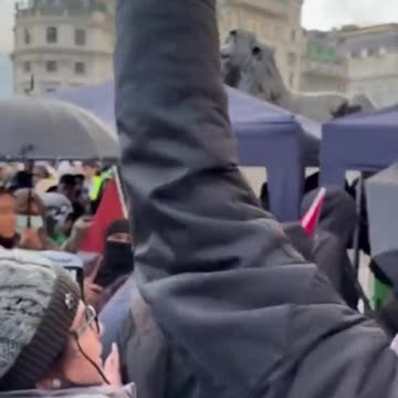 Terrorist supporters attack Iranian man carrying a sign in London that says: “Hamas are terrorists.”