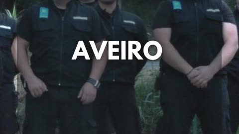 Curso Vigilante