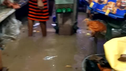 Flooded: Ariaria International Market