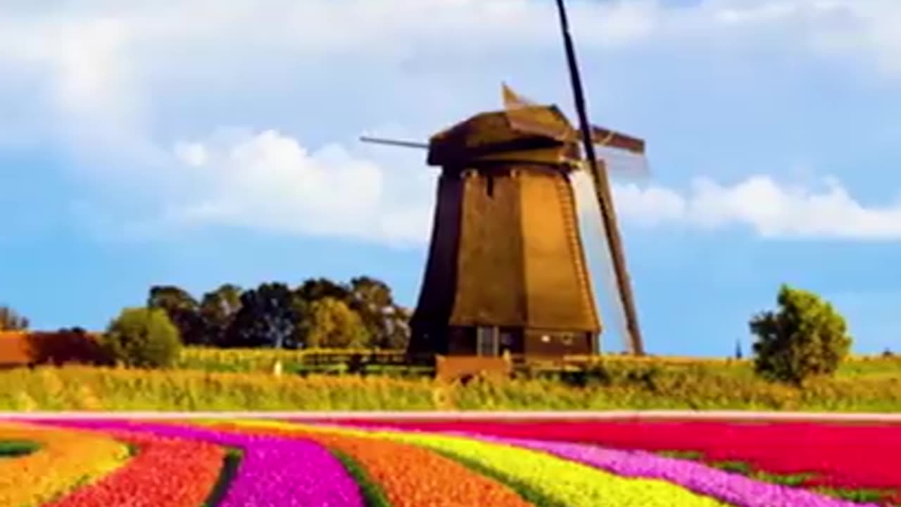 Did you know in Netherlands...