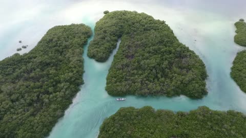 Beach Nature and natural videos of islands