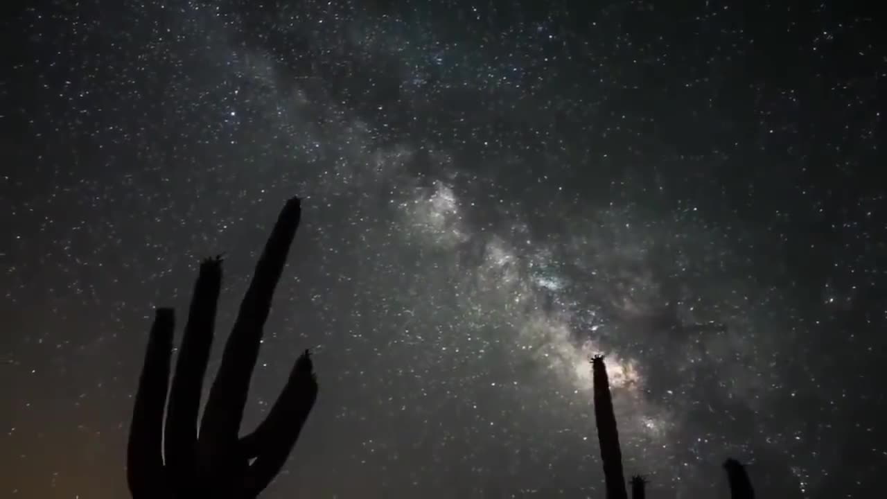 Art Bell MITD - Albert Taylor - OBE's