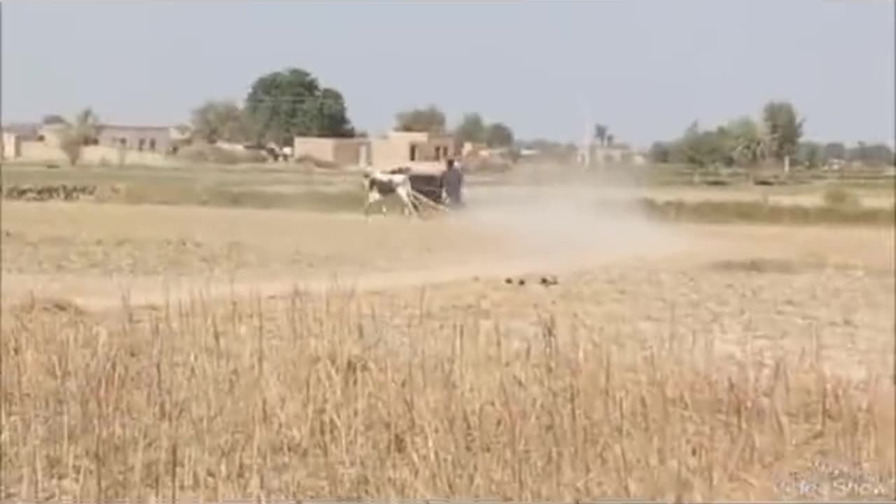 Farmar work