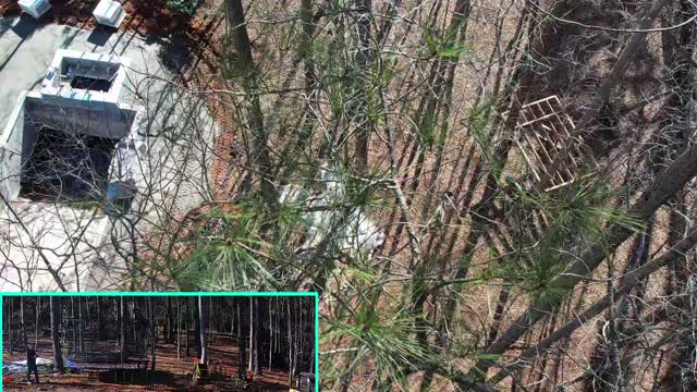 Adventures in Droning with PiP