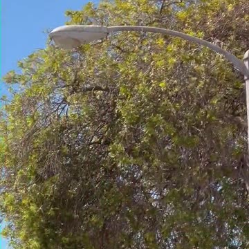 Caça a jato do Corpo de Fuzileiros Navais desaparece em voo de treinamento