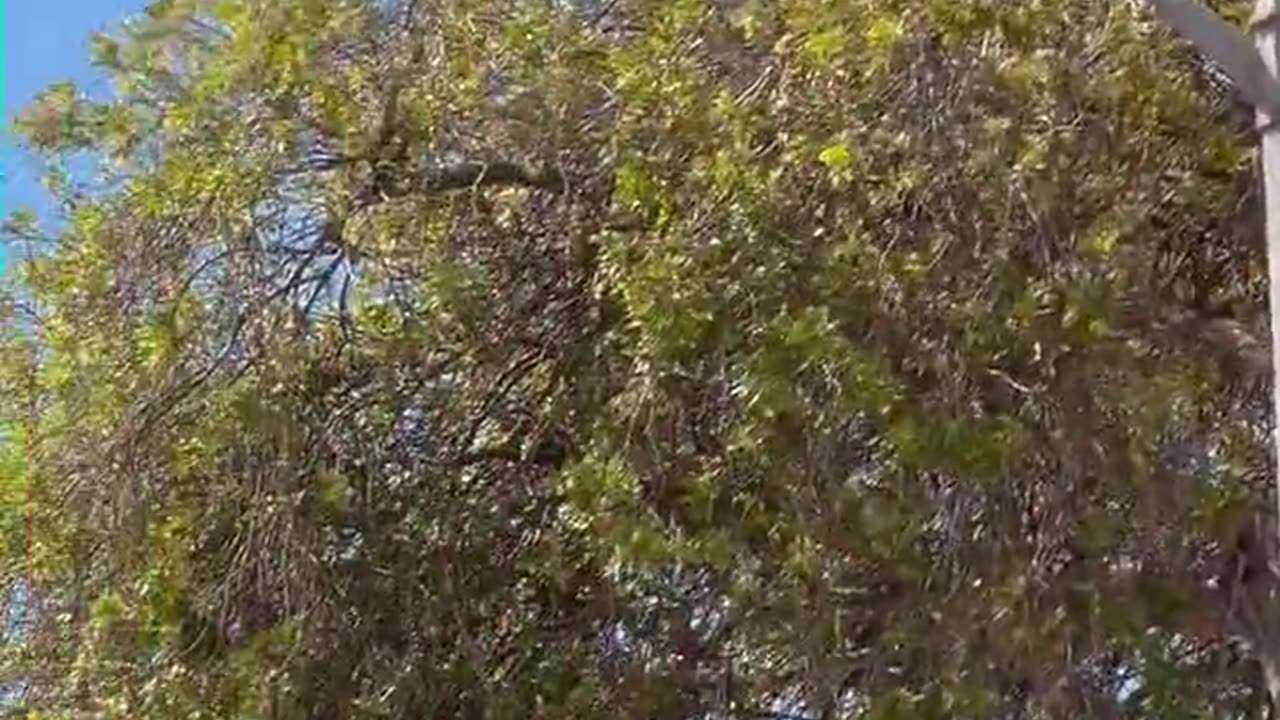 Caça a jato do Corpo de Fuzileiros Navais desaparece em voo de treinamento