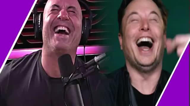 They Are Laughing At You