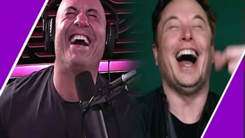 They Are Laughing At You