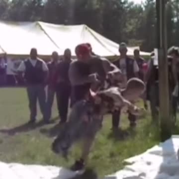 So BRAVE !... 😂😅😅 #shorts #funny #memes