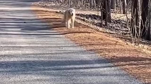 17-year-old Good Girl still got pep in her step